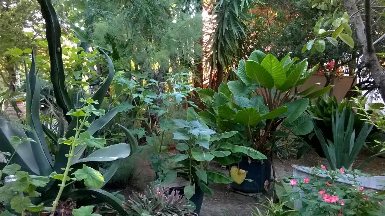 Baha-Ammes Apartment Свороната Екстериор снимка